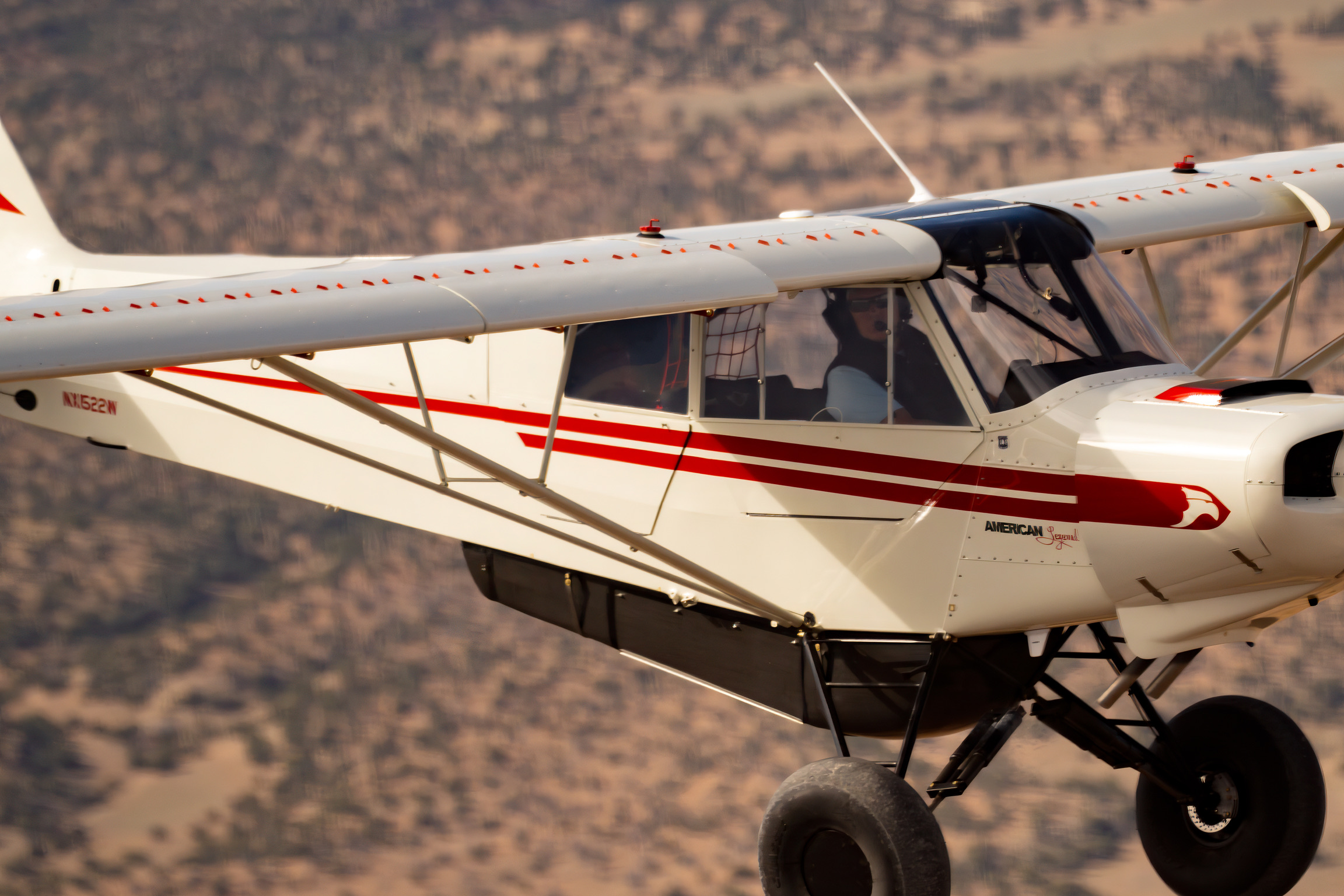 On the wing